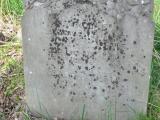 image of grave number 652850